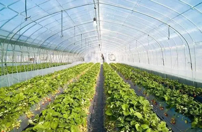 有機(jī)肥建廠，選原料和輔料一定得考慮這些……