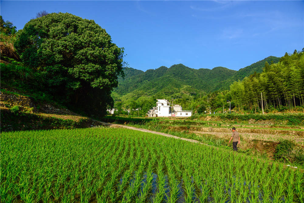 淺談畜禽糞便堆肥處理生產(chǎn)有機(jī)肥的工藝與設(shè)備