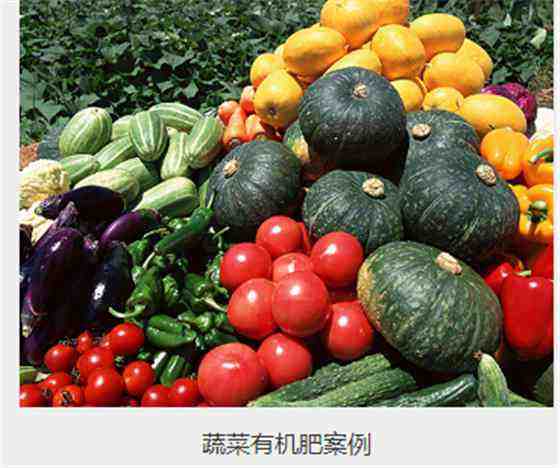 農業(yè)步入新階段，有機肥設備大力推動畜牧業(yè)綠色循環(huán)發(fā)展
